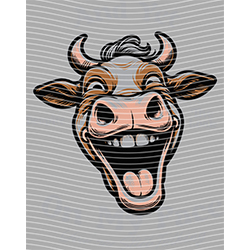 Cow-NIU 2386
